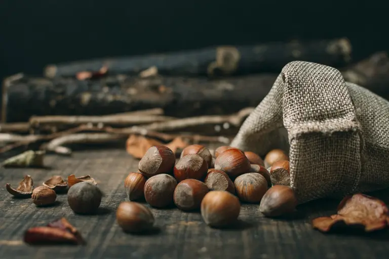 Bafita Fındık – çuvalda kabuklu fındık
